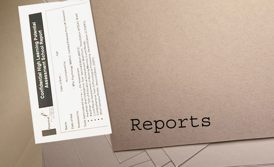 File marked Reports