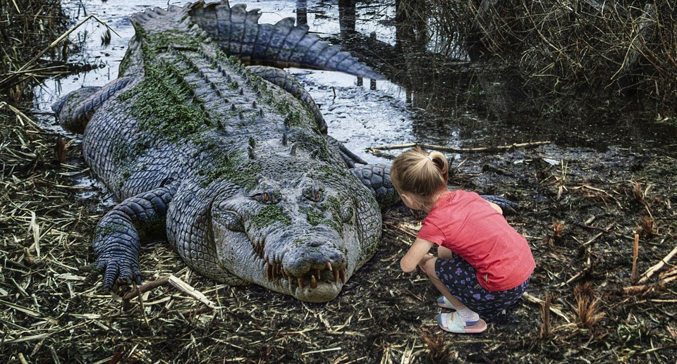 girl crouching down near a crocodile