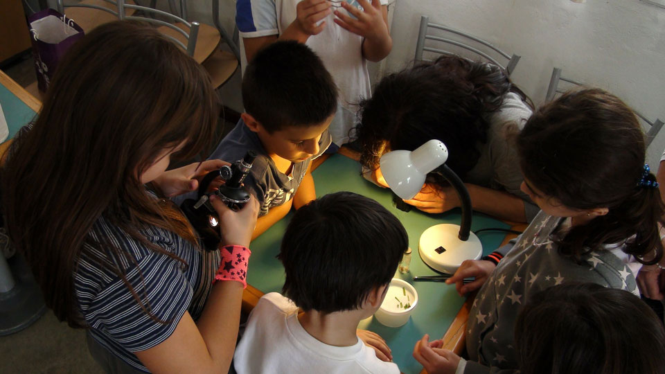 Group of children gathered doing science